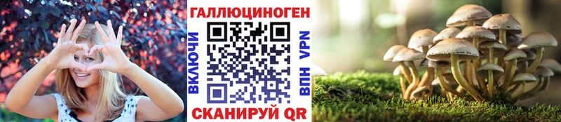 Галлюциногенные грибы ЛСД  Купить закладки  Кропоткин 